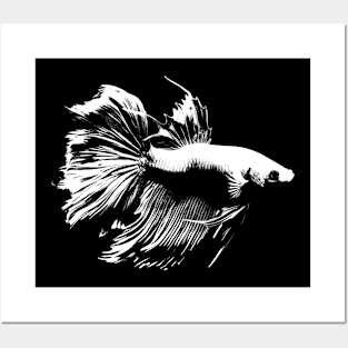 Betta Fish 02 Vintage Posters and Art